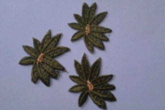 Flori mici