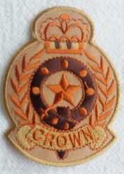 Emblema termoadeziva