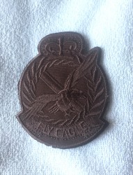 Embleme termoadezive