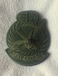 Embleme termoadezive