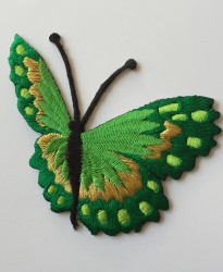 Fluturi mari
