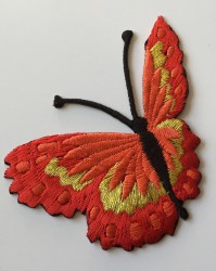 Fluturi mari