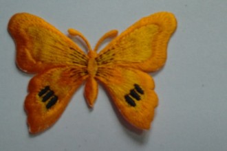 Fluturi mari