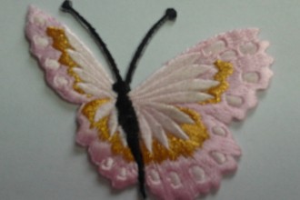Fluturi mari