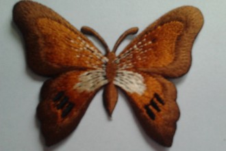 Fluturi mari