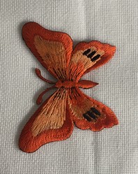 Fluturi mari