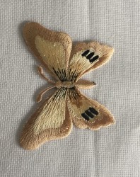 Fluturi mari