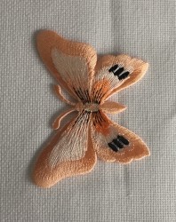 Fluturi mari