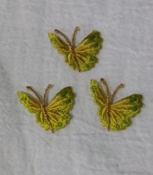 Fluturi mici