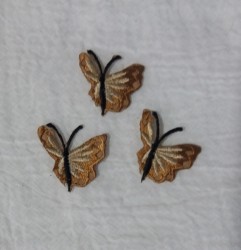 Fluturi mici