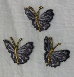 Fluturi mici