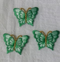 Fluturi mici