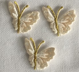 Fluturi mici
