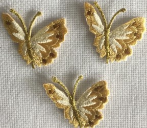 Fluturi mici