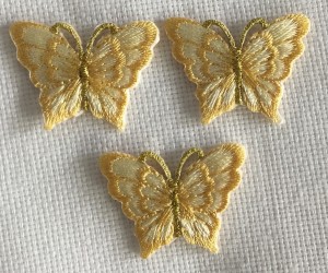Fluturi mici