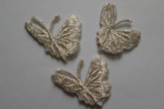 Fluturi mici