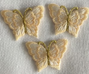 Fluturi mici