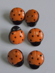 Nasturi decorativi