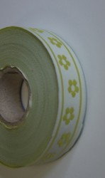Panglica cu model