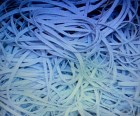 Elastic lat 4mm